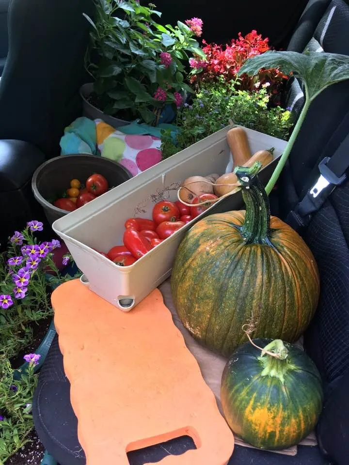 Local lawn care service in Yardley, PA - L'Antscapes by Liza