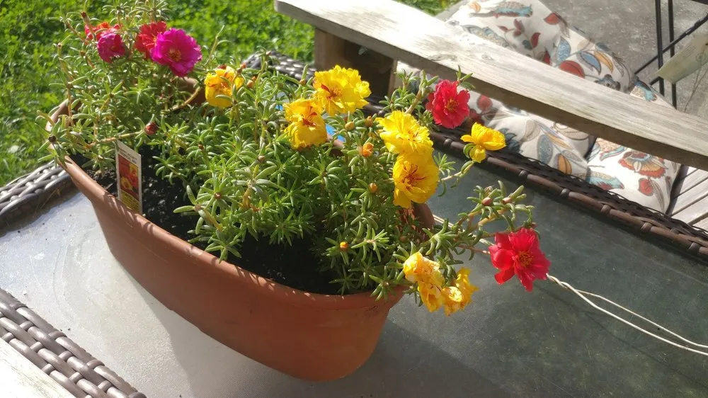 Trusted landscape design in Yardley, PA by L'Antscapes by Liza