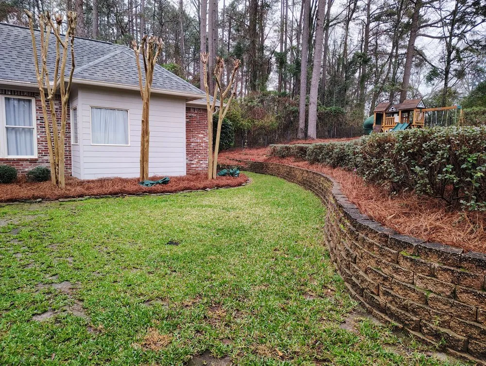 Reliable yard maintenance experts serving Hattiesburg, MS - Lanw Care Lopez