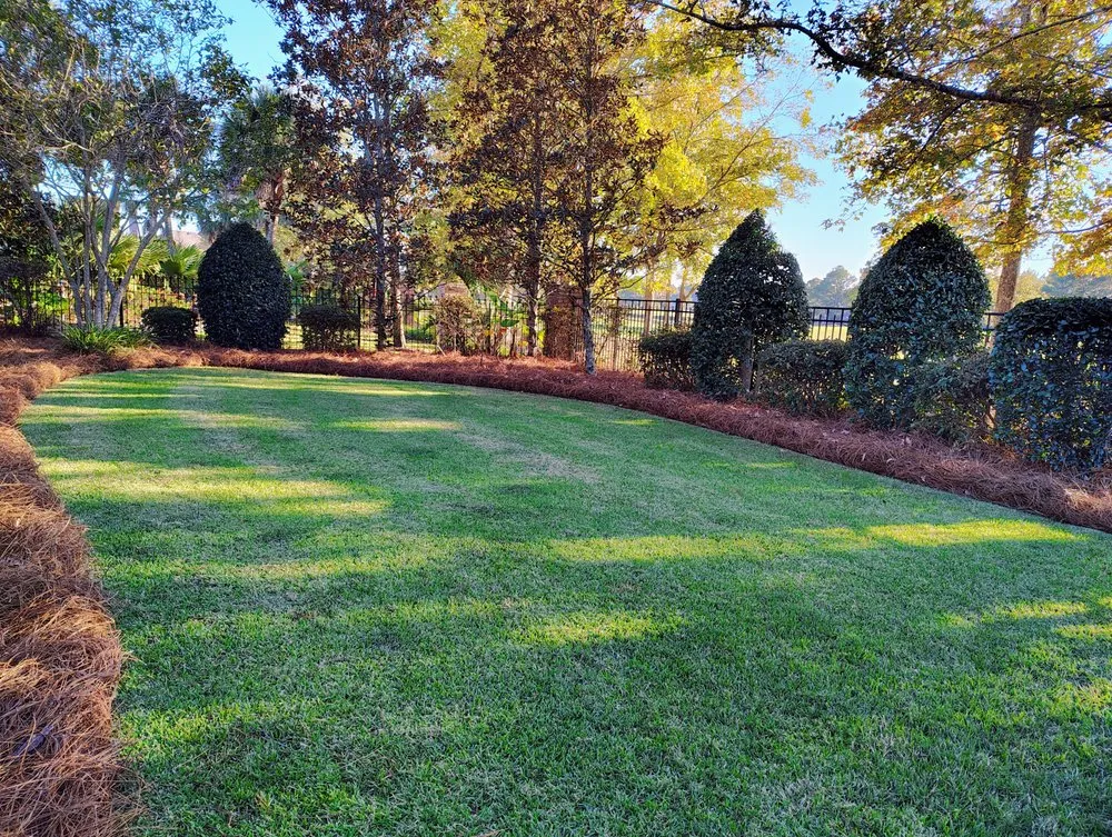 Top-rated landscaping services in Hattiesburg, MS by Lanw Care Lopez