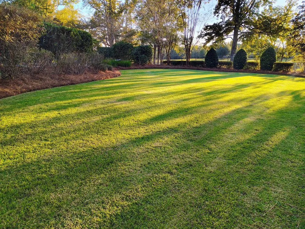 Professional residential landscaping experts serving Hattiesburg, MS - Lanw Care Lopez