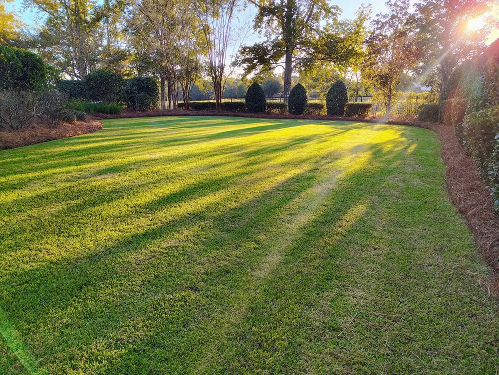 Trusted landscaping services for outdoor upgrades across Hattiesburg, MS - Lanw Care Lopez