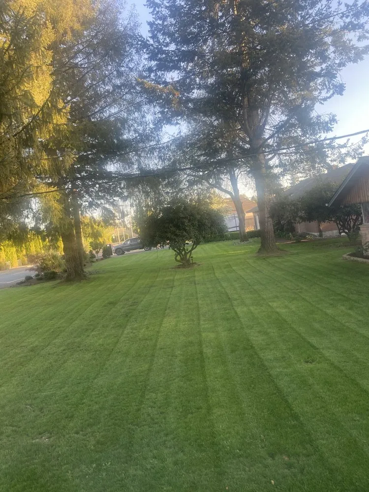 Reliable yard maintenance for beautiful yards in Mill Creek, WA by Lanw love lanw care landscaping