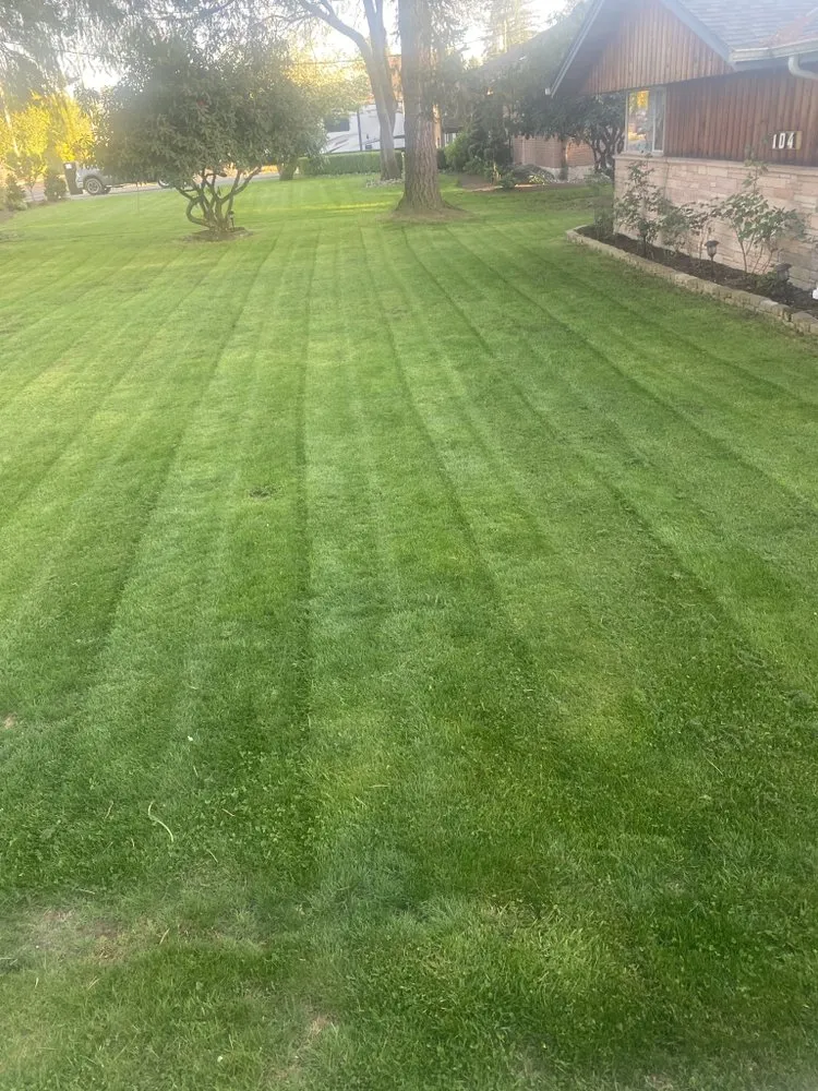 Affordable landscape design in Mill Creek, WA - Lanw love lanw care landscaping