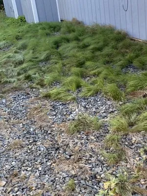 Lanw love lanw care landscaping Logo