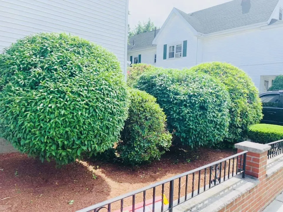 Reliable residential landscaping for beautiful yards across Lynn, MA - Lanzillos Lawn Care