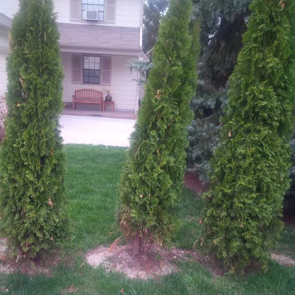 Expert garden landscaping experts serving Winslow Township, NJ - Lanzilotti Lanzcape Design and Property Management