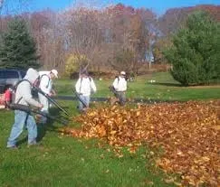 Trusted landscaping services experts serving Lapeer, MI - Lapeer Lawn Care