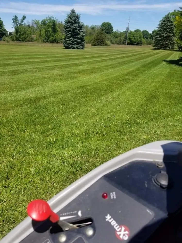 Expert landscaping services experts serving Warren, MI - Lapere's Landscaping