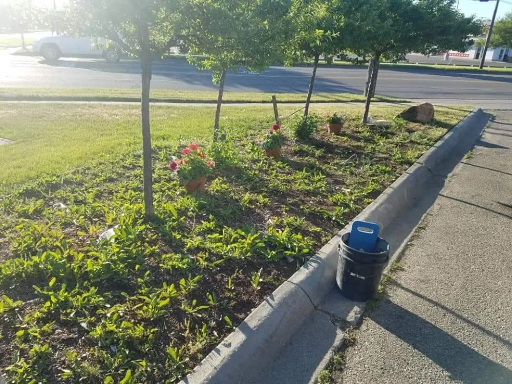 Professional yard cleanup service with custom design in Warren, MI by Lapere's Landscaping