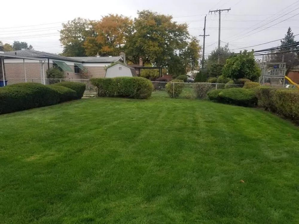 Reliable yard cleanup service in Warren, MI - Lapere's Landscaping
