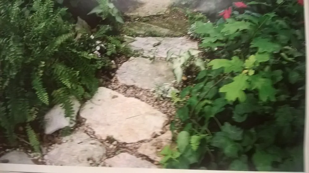 Affordable landscaping services near you in Brighton, CO by Lapis Design Company