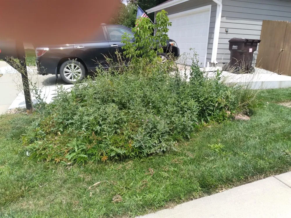 Reliable landscape design experts serving Brighton, CO - Lapis Design Company