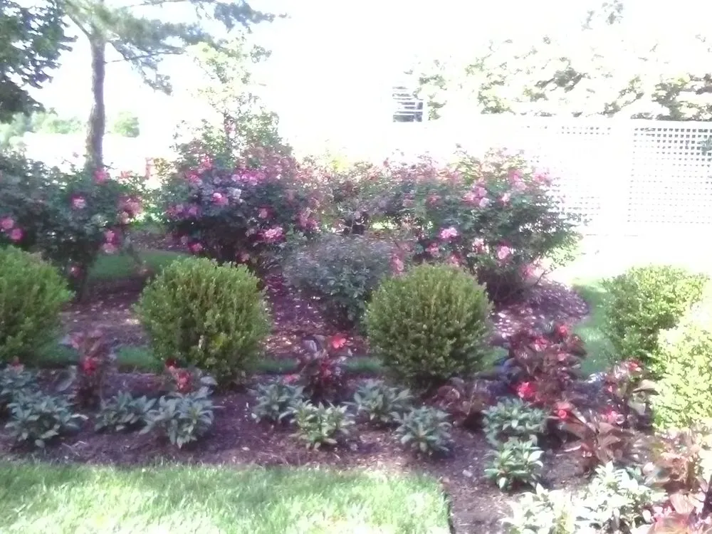 Trusted yard maintenance in Brighton, CO - Lapis Design Company