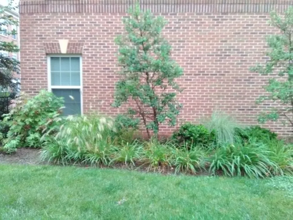 Reliable landscape installation experts serving Brighton, CO - Lapis Design Company