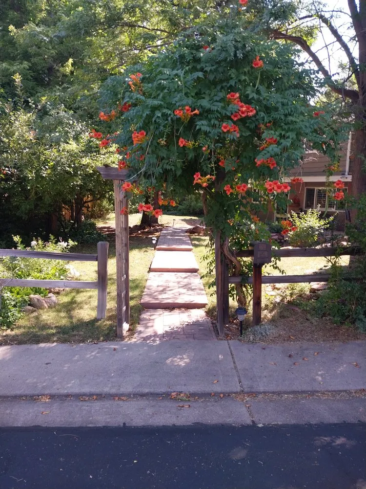 Custom residential landscaping for year-round maintenance in Brighton, CO by Lapis Design Company