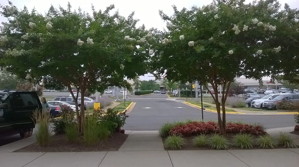 Top-rated outdoor landscaping for beautiful yards across Brighton, CO - Lapis Design Company