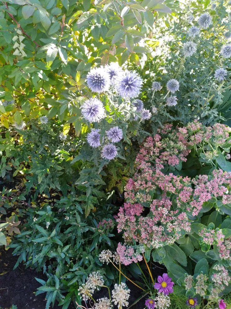 Local garden landscaping in Brighton, CO by Lapis Design Company