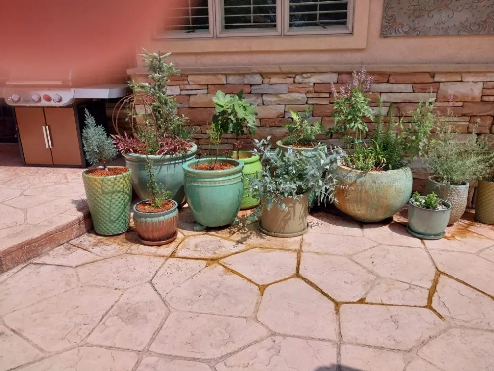 Local yard cleanup service in Brighton, CO - Lapis Design Company