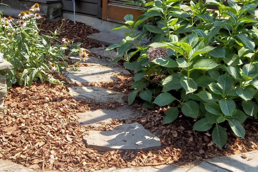 Affordable garden landscaping in Brighton, CO - Lapis Design Company