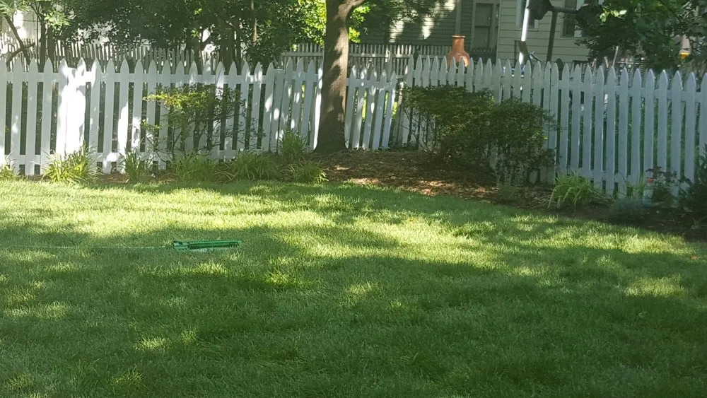 Affordable yard cleanup service in Brighton, CO by Lapis Design Company