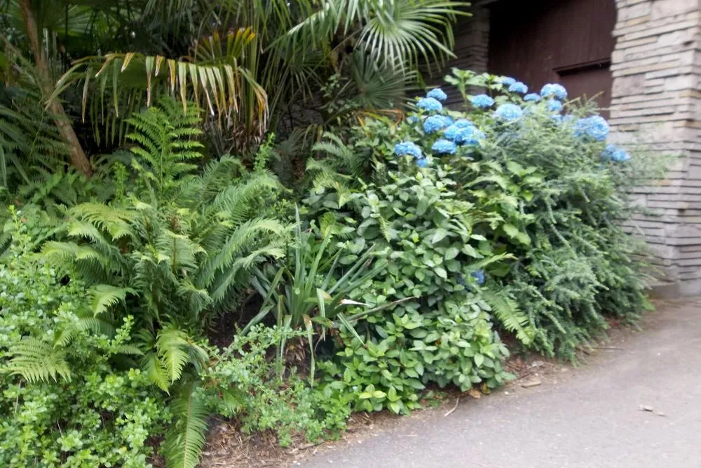 Top-rated lawn mowing service in Brighton, CO by Lapis Design Company