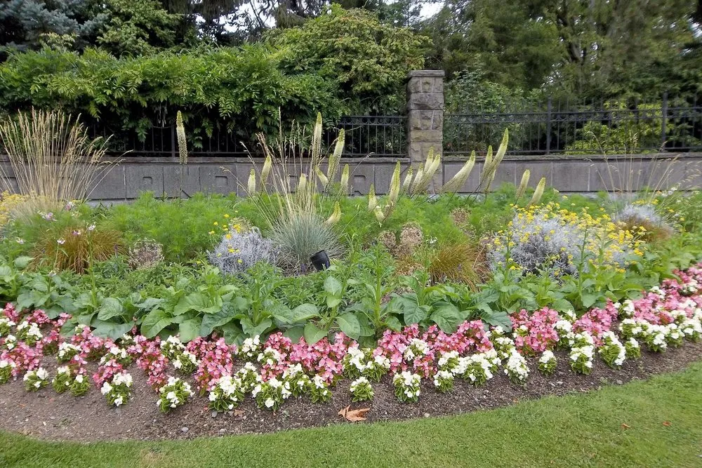 Reliable lawn care service near you across Brighton, CO - Lapis Design Company