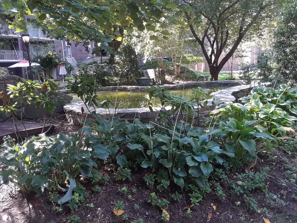 Top-rated yard cleanup service in Brighton, CO - Lapis Design Company