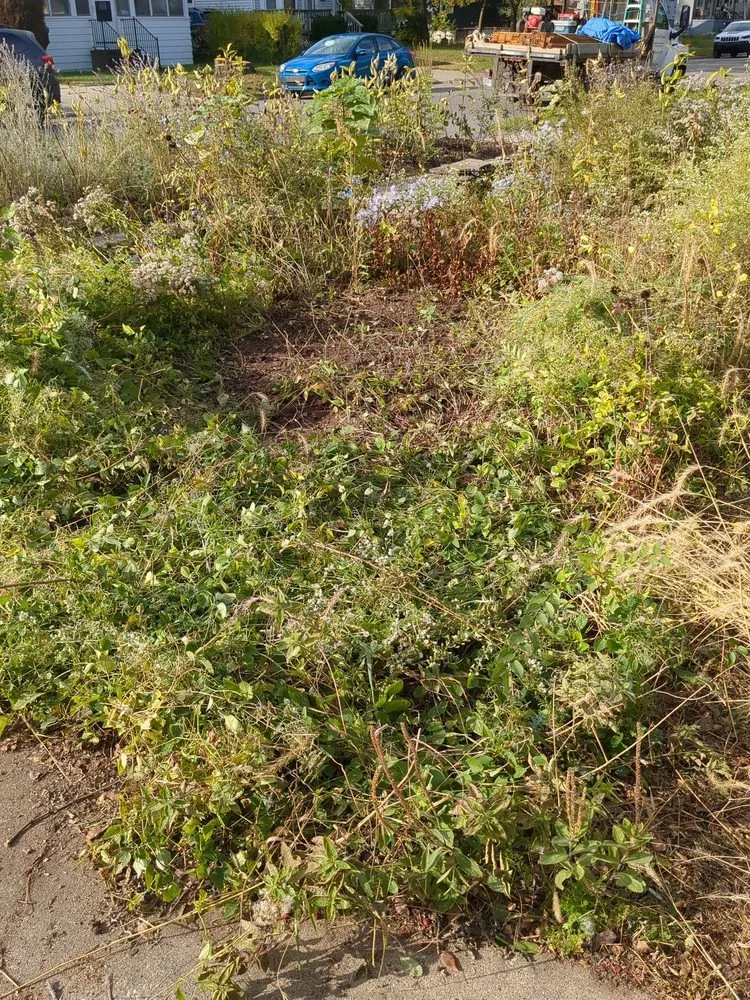 Affordable garden landscaping in Troy, MI by LaPlante's Maintenance and Arborist