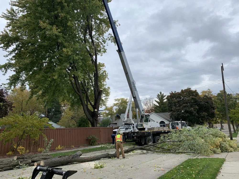 Affordable yard maintenance with custom design in Troy, MI by LaPlante's Maintenance and Arborist