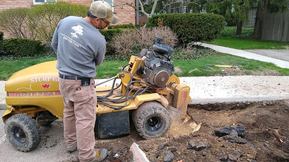 Expert yard cleanup service in Troy, MI - LaPlante's Maintenance and Arborist