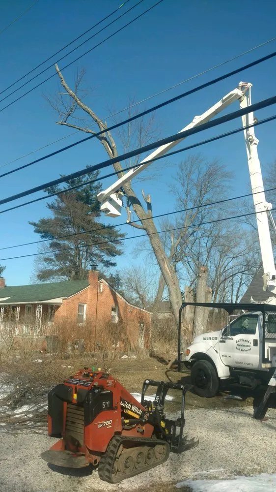 Expert residential landscaping in Troy, MI by LaPlante's Maintenance and Arborist