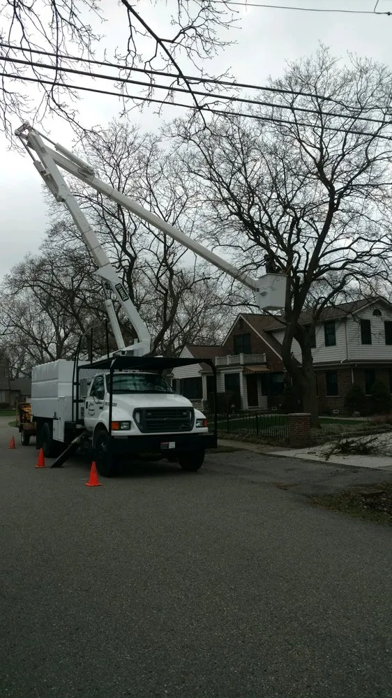 Local landscape installation experts serving Troy, MI - LaPlante's Maintenance and Arborist
