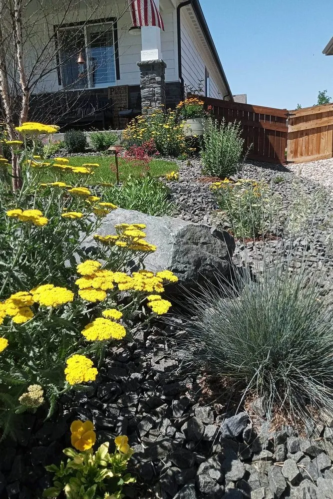 Reliable lawn care service in Laporte, CO - Laporte Outdoor Living