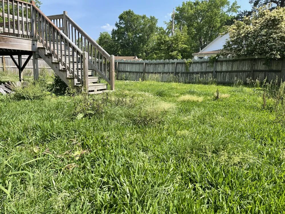 Expert landscape design in Virginia Beach, VA - Laprade Landscaping