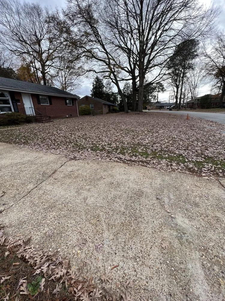 Affordable yard maintenance in Virginia Beach, VA by Laprade Landscaping