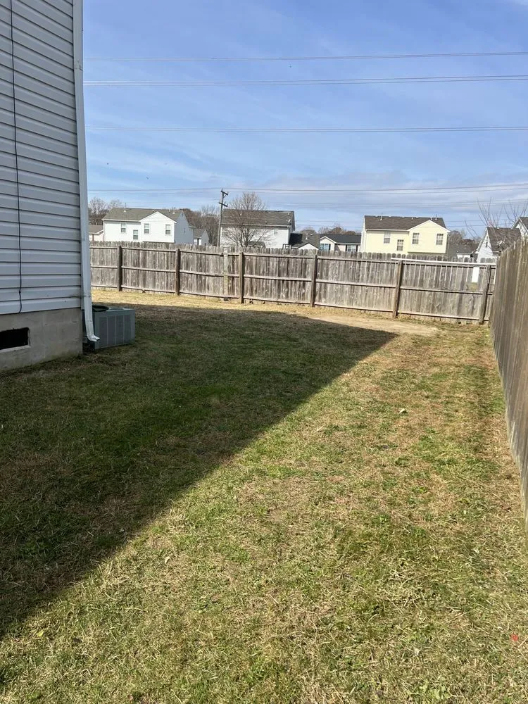 Expert yard maintenance for outdoor upgrades across Virginia Beach, VA - Laprade Landscaping