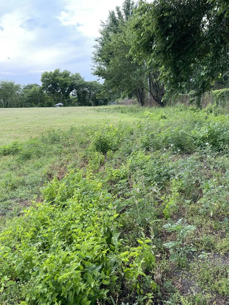 Affordable landscape installation in Virginia Beach, VA by Laprade Landscaping