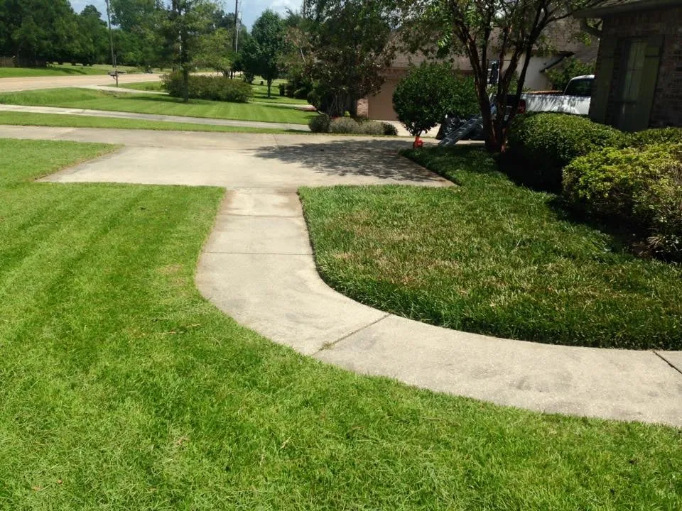 Trusted yard cleanup service in Baton Rouge, LA by LAProLand