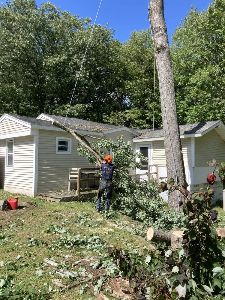 Expert landscape installation for outdoor upgrades across Franklin, NH - LAQ'S Property Management