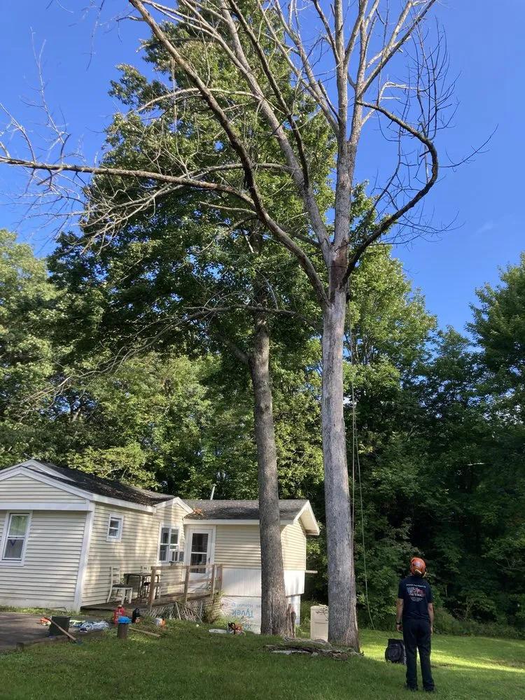 Trusted landscape design near you across Franklin, NH - LAQ'S Property Management