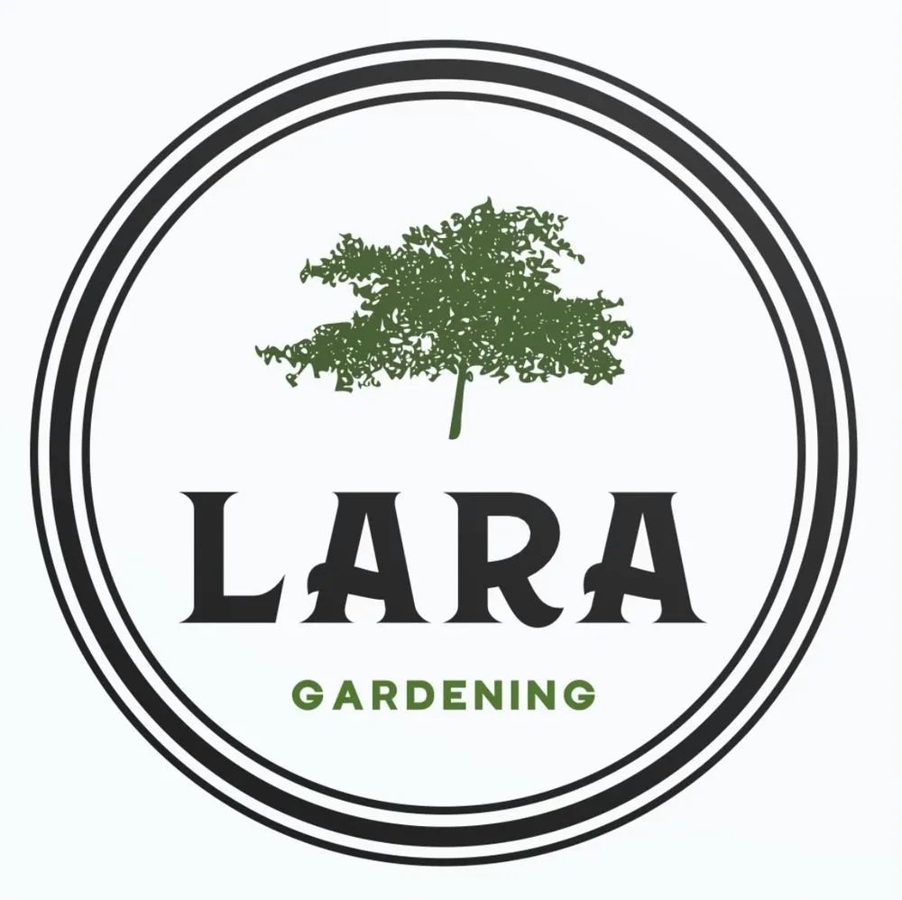 Affordable residential landscaping in San Marcos, CA - Lara Gardening