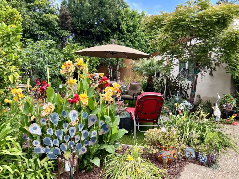 Expert landscape installation for outdoor upgrades in San Marcos, CA by Lara Gardening