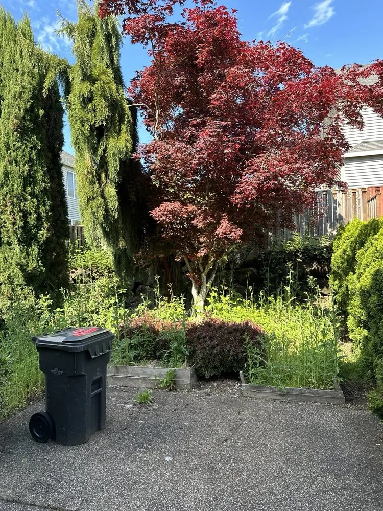 Custom landscape design in Sherwood, OR by Lara GreenHand