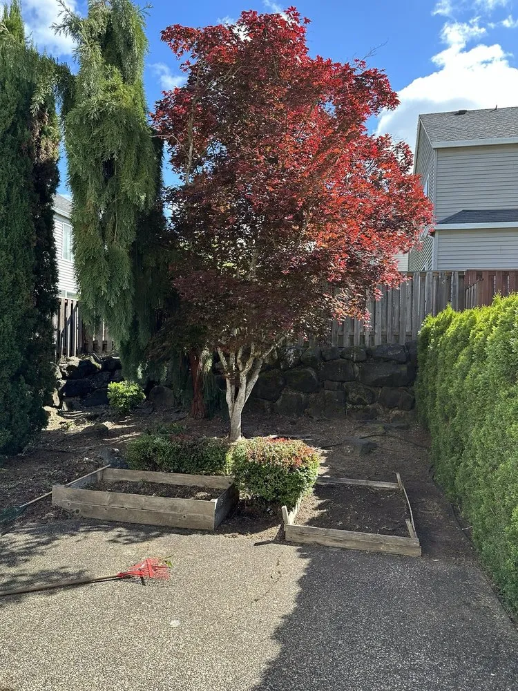 Professional landscaping services with custom design in Sherwood, OR by Lara GreenHand