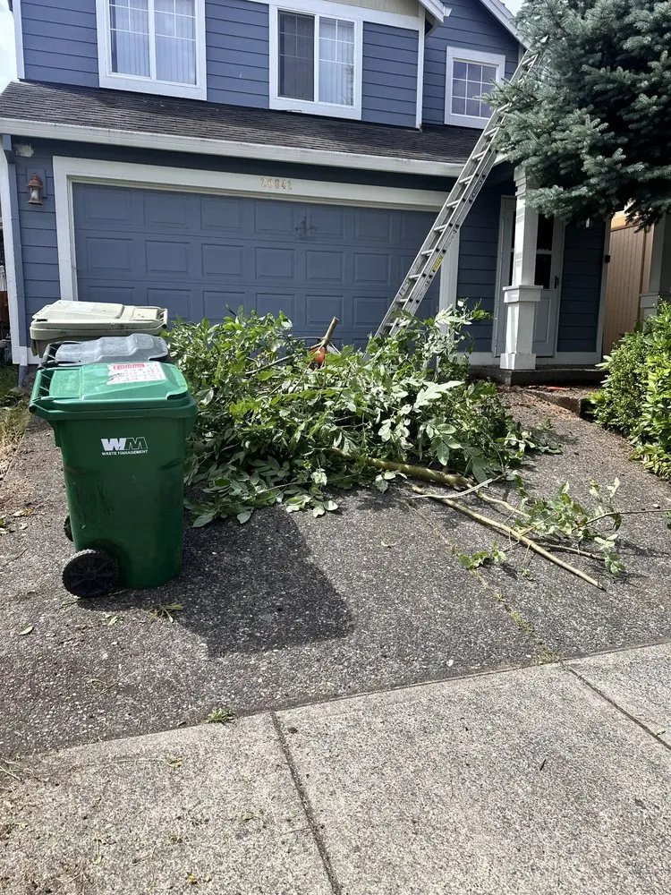 Reliable residential landscaping near you in Sherwood, OR by Lara GreenHand