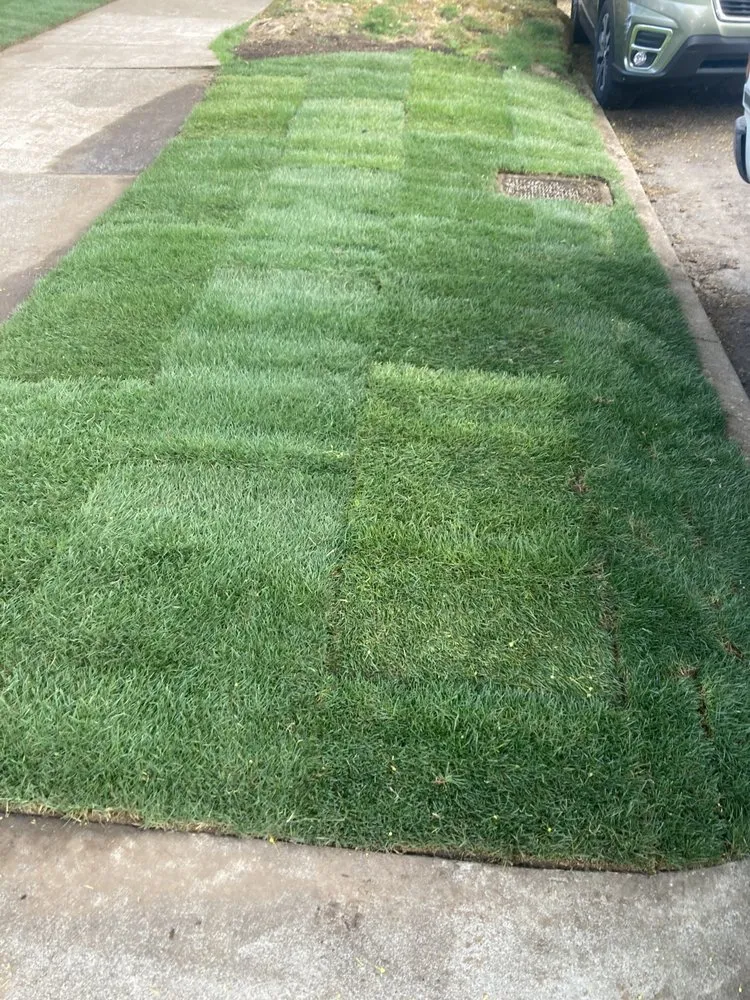 Local yard maintenance experts serving Sherwood, OR - Lara GreenHand