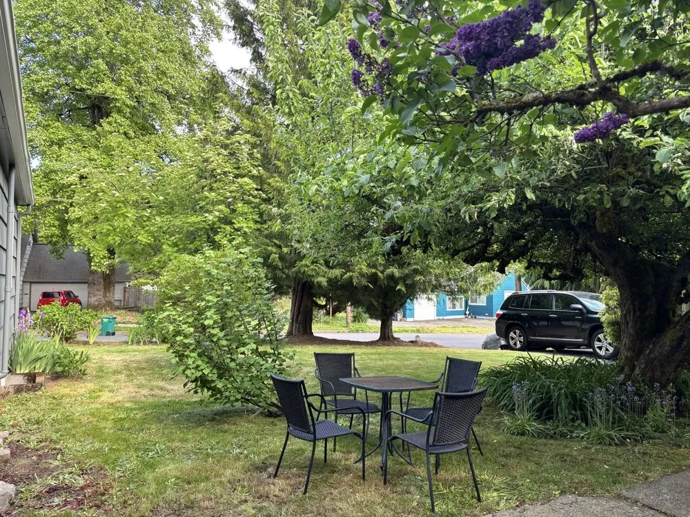 Reliable yard cleanup service experts serving Sherwood, OR - Lara GreenHand