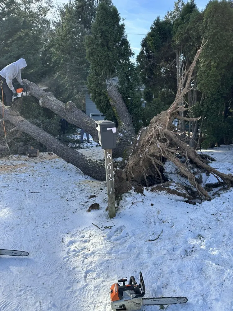 Trusted lawn care service in Sherwood, OR by Lara GreenHand