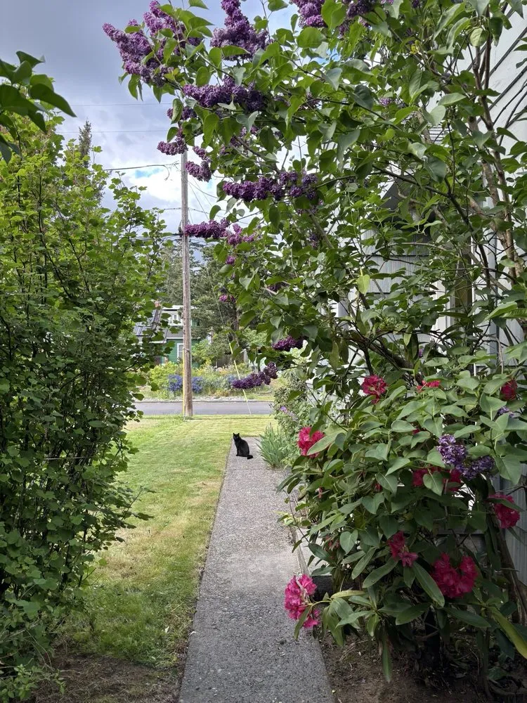 Top-rated lawn mowing service with custom design in Sherwood, OR by Lara GreenHand